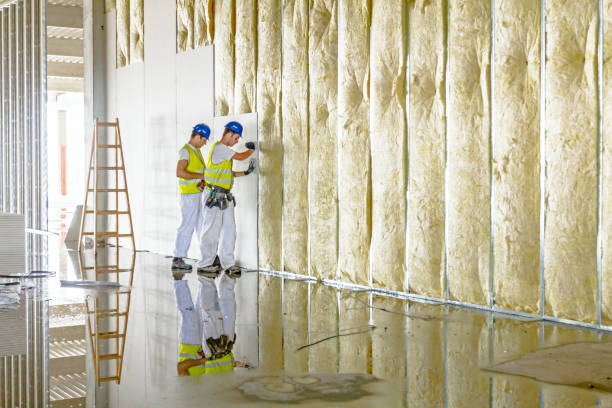 Best Blown-in Insulation in Staunton, IL